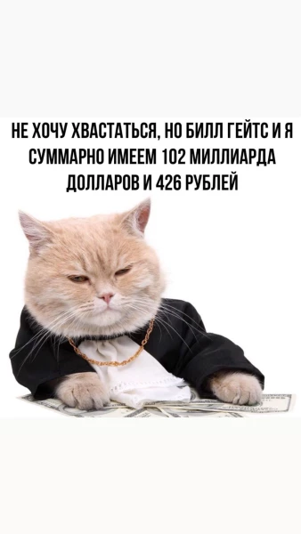 Telegram канал - КотоДом